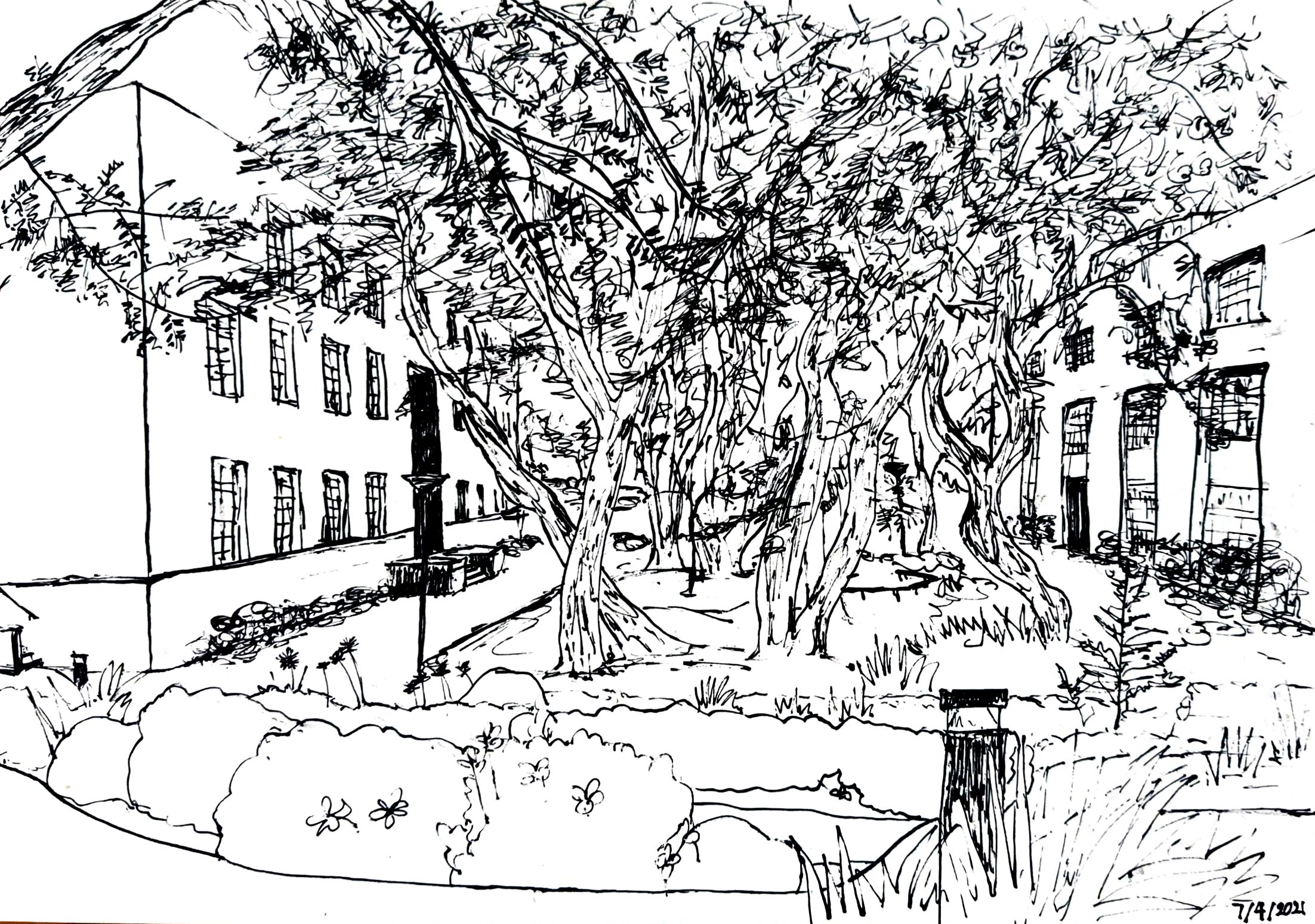 Caltech Turtle Pond 2